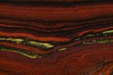 Polished Tiger Iron Stromatolite - Billion Years #129198-1